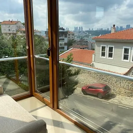 Panoramic Bosphorus View